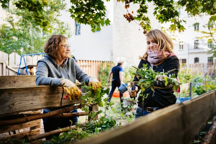 Two women working together in a community garden