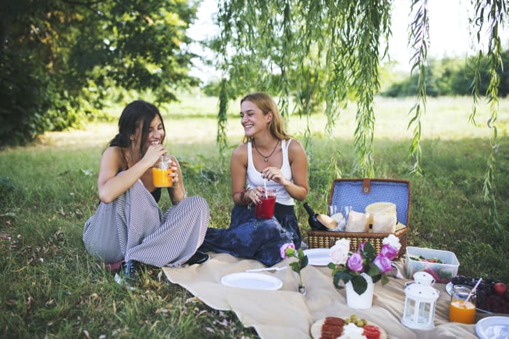 Two women enjoying a picnic under a willow tree with drinks, a basket, and flowers on a blanket.