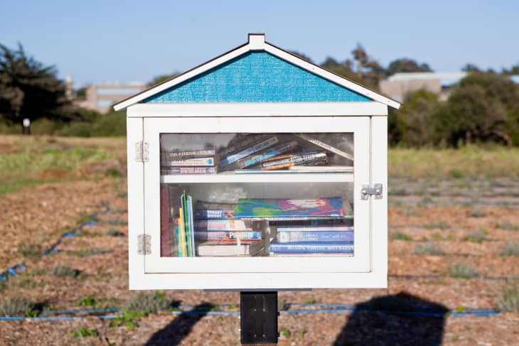 little house looking standing library in a field with colorful books
