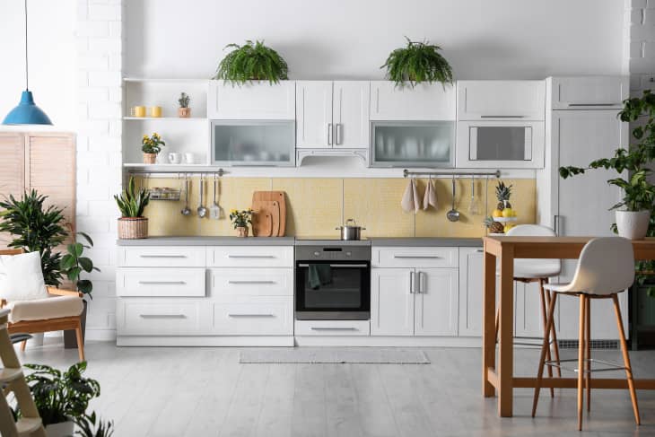 Stylish kitchen interior with green plants, gray wash floor