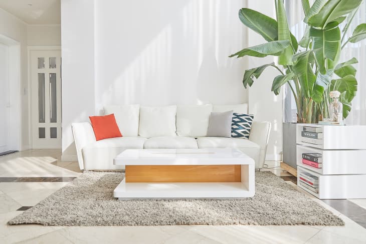 White Concept Living Room Interior