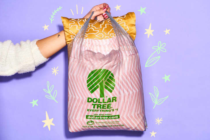 Dollar tree poop store bags