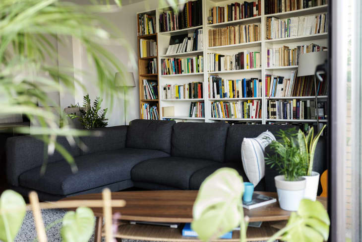 Selling used couch hotsell