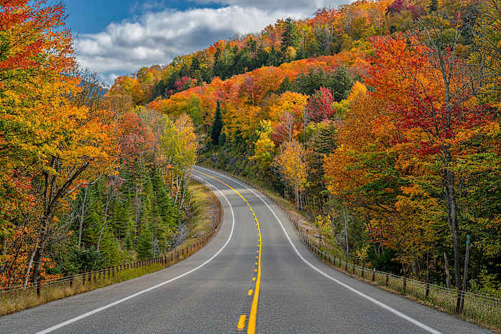 The 2024 Fall Foliage Map Reveals Peak Leaf-Peeping Dates | Apartment ...