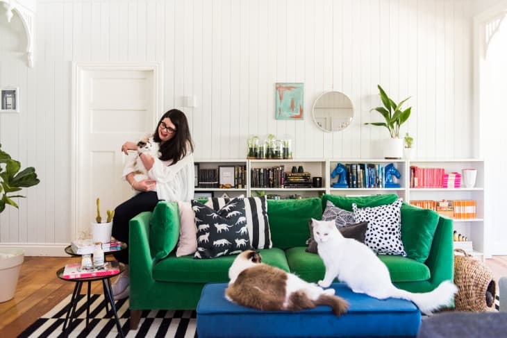 I Tried the Little Green Pet Pro and It Saved My Sofa More Than