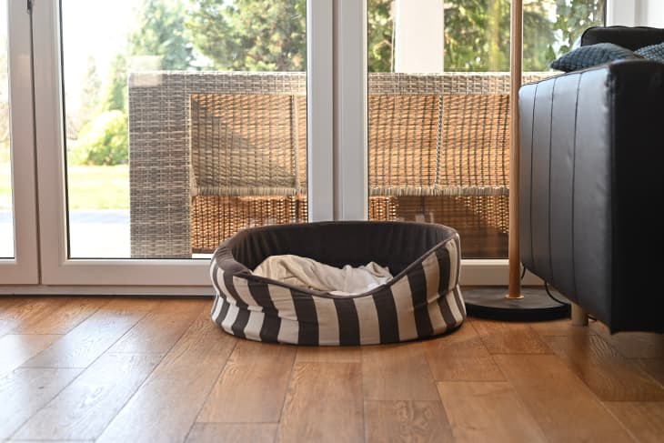 Striped pet bed on wooden floor near glass doors with wicker furniture outside.