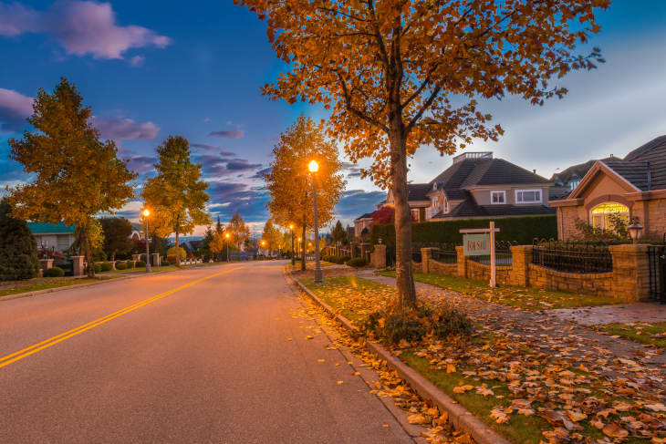 Suburban neighborhood with trees at dusk