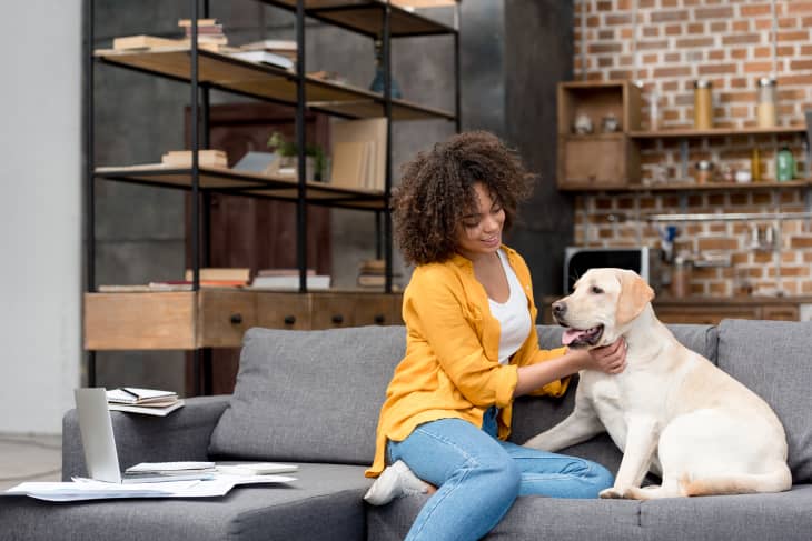 These Companies are Extremely Dog-Friendly