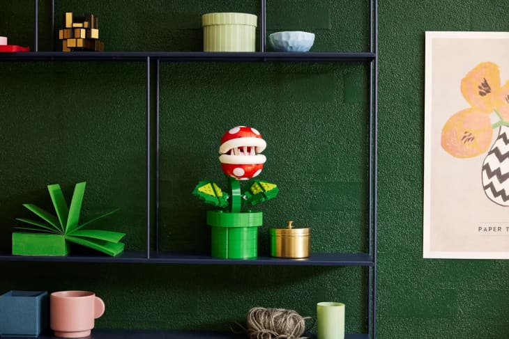 man eating plant lego on shelf with green back wall