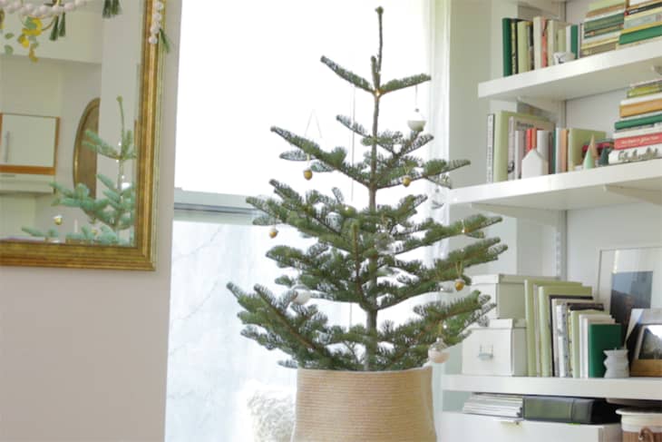 small xmas tree on a stool in front of a bookshelf