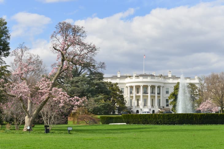 Save the white house top