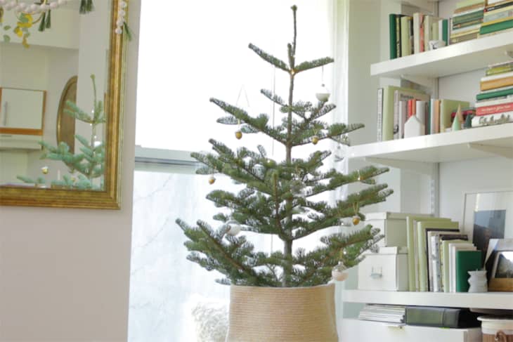 Christmas tree type deals