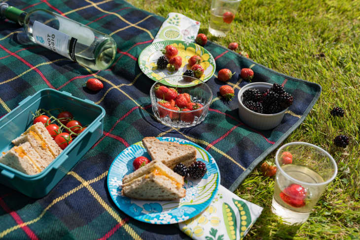 Summer picnic spread on blanket with jam sandwiches, fruit and wine