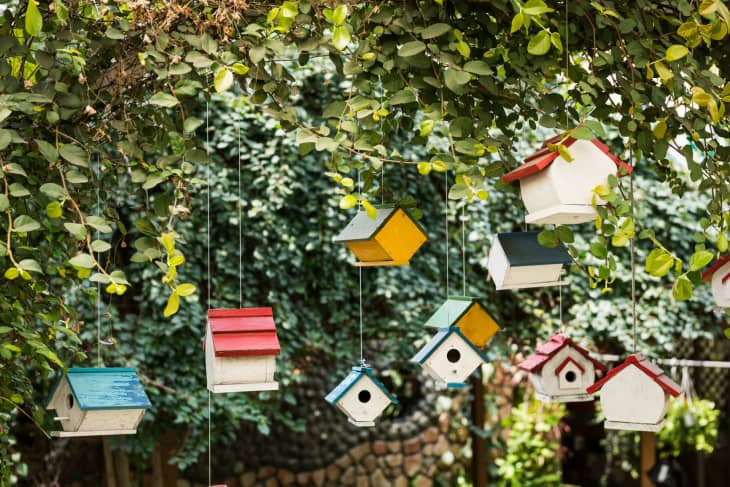 Colorful birdhouses hanging from tree branches with green leaves.