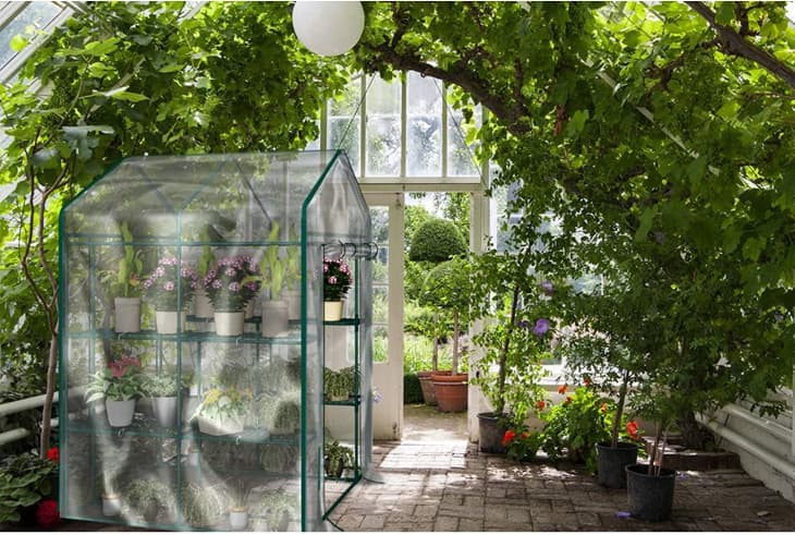 Greenhouse interior with potted plants on shelves, surrounded by lush greenery and a glass door leading outside.