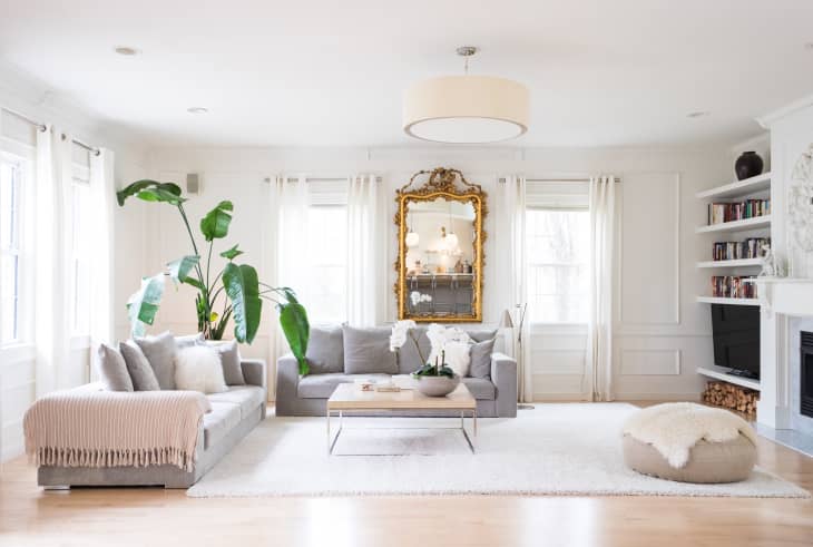 A living room with a gray couch, large houseplant and gilded mirror.