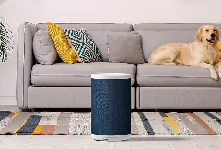 Gray sofa with colorful cushions, a golden retriever, and a blue air purifier on a patterned rug.