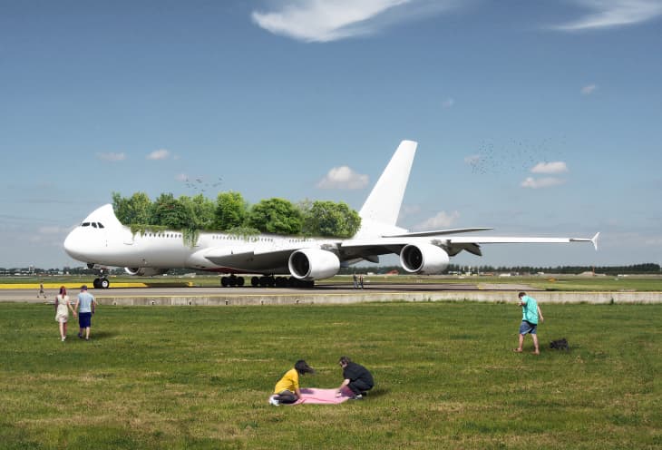 Airplane with trees on top parked on runway, people on grass nearby.