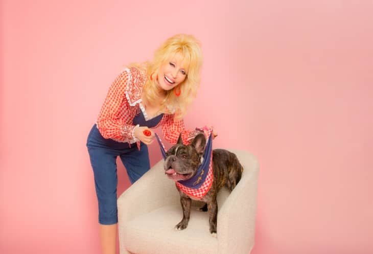 Woman in a red checkered shirt with a French bulldog wearing a matching bandana on a beige chair against a pink background.