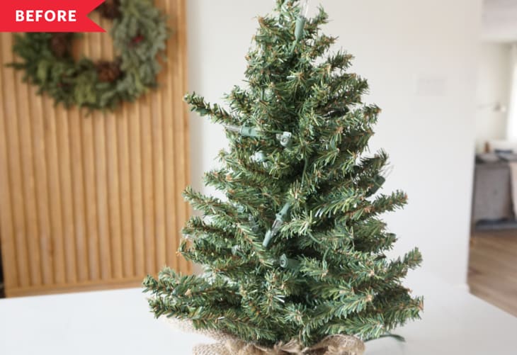 small undecorated tabletop Christmas tree with burlap root ball