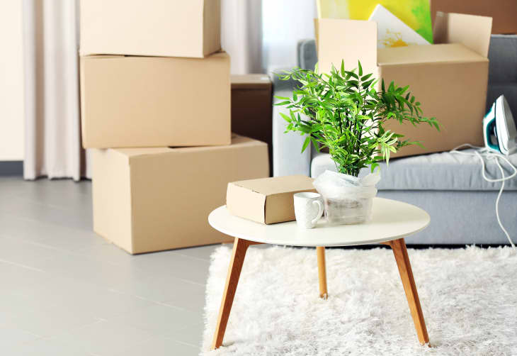 16 Moving Essentials For Every Skill Level and Occasion