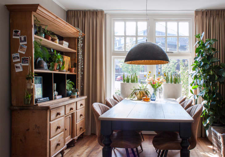 Dining room with wooden table, large pendant light, plants on shelves, and a window view with potted plants and flowers.