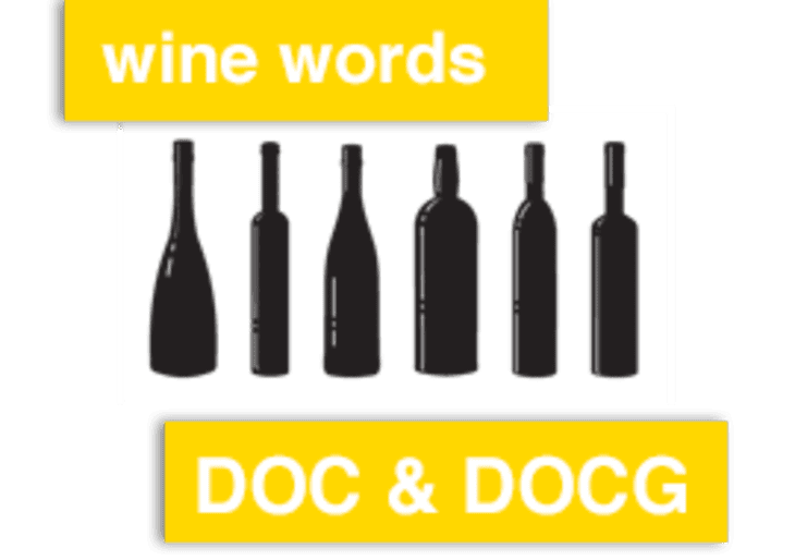 Wine Words: DOC or DOCG — Do You Know the Difference? | The Kitchn