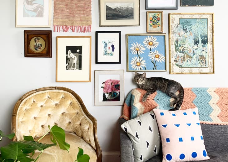 Gallery wall behind gray sofa with cat and afghan resting on it