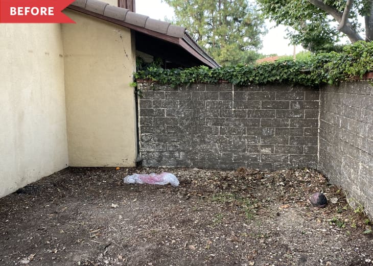 Small backyard corner with bare soil, brick wall, and ivy-covered top.