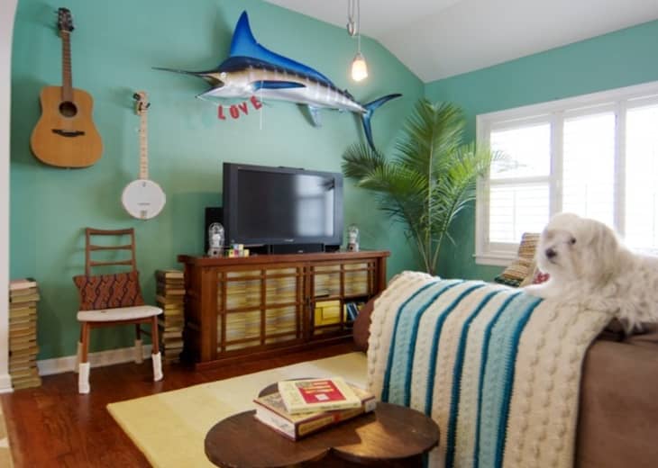 Cozy living room with teal walls, guitar, banjo, TV, marlin decor, and a dog on a sofa with a striped blanket.