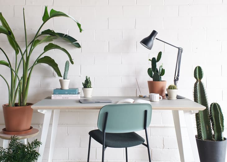 lifestyle image of office desk with cactus