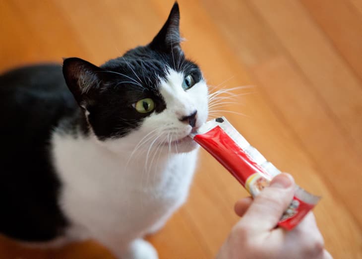 Cat treats in a tube clearance