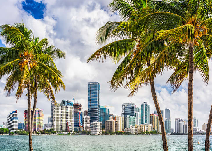Miami, Florida, USA tropical downtown skyline.
