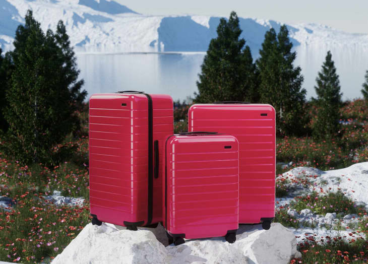 magenta suitcases on nature backdrop