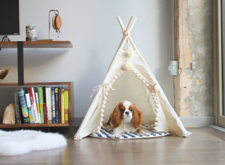 Dog outlet teepee petsmart