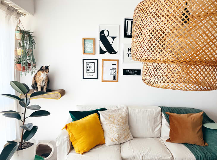 The FAQs for Apartment Therapy's 2023 Small/Cool Contest | Apartment ...