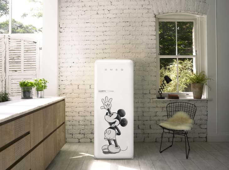 Smeg outlet apartment fridge