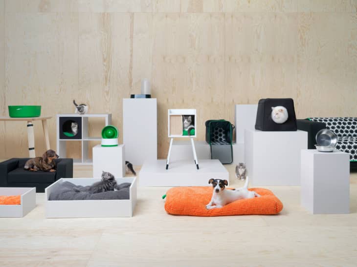 Tonen ik ben ziek microscopisch IKEA LURVIG Pet Collection | Apartment Therapy