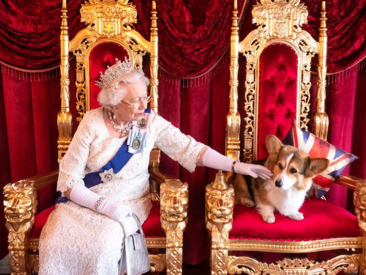 Elderly woman in a white gown and tiara petting a corgi on a red and gold throne with a Union Jack pillow.