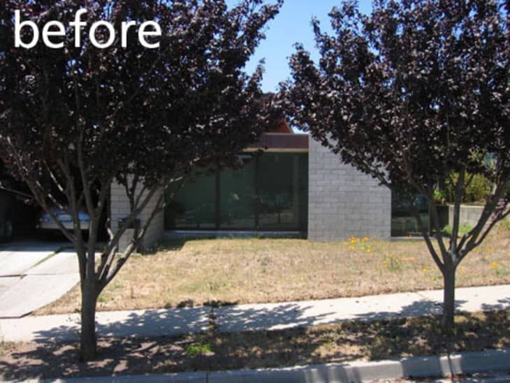 Before and After: Turf-Free Front Yard