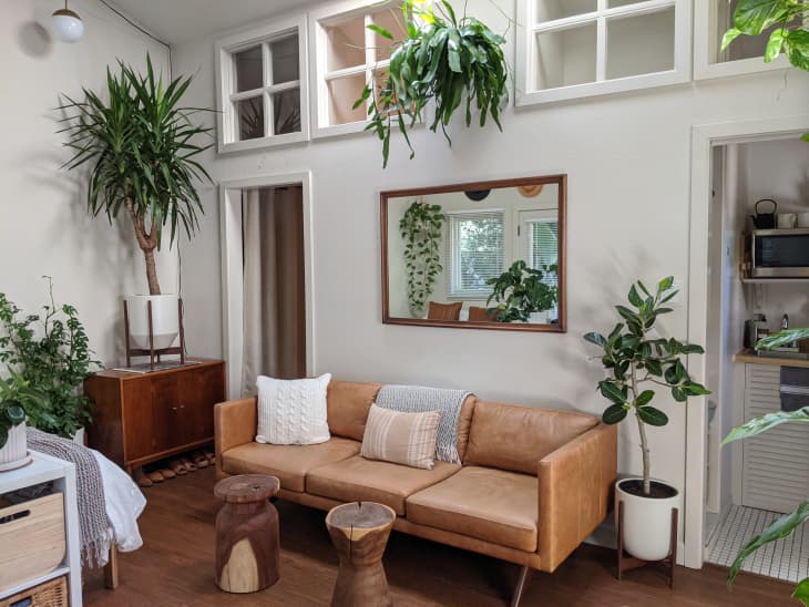 Living room with tan leather sofa, wooden stools, large mirror, and various potted plants, including a tall dracaena.