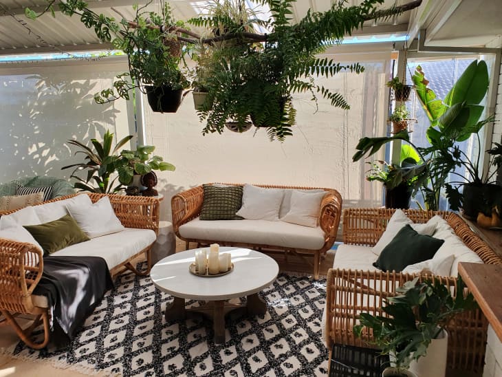 一个大客厅，上面挂着柳条家具和植物