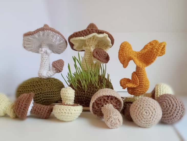 DIY Mushroom Crochet Kit for Beginners With Yarn Amigurumi Easy Crochet  Ukraine Shop 