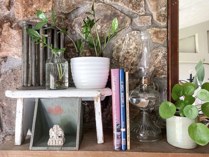 vintage books, shelves, lantern with plants at antique story