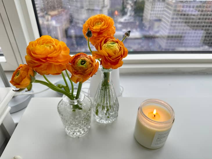 Bud vases in sunny window.