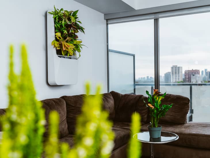 White modular plant display on wall in living room with brown sofa