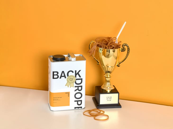 Paint can labeled "Backdrop" next to a gold trophy filled with rubber bands on an orange background.