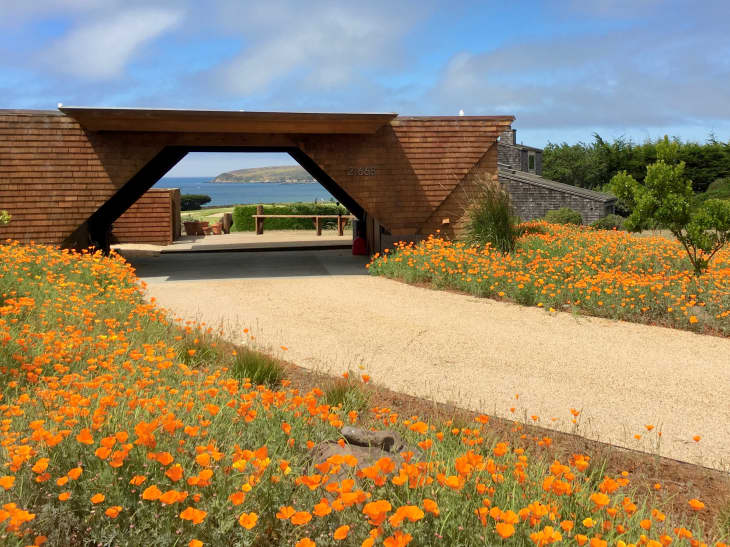 Modern wooden house entrance with orange poppies, ocean view, and clear sky.