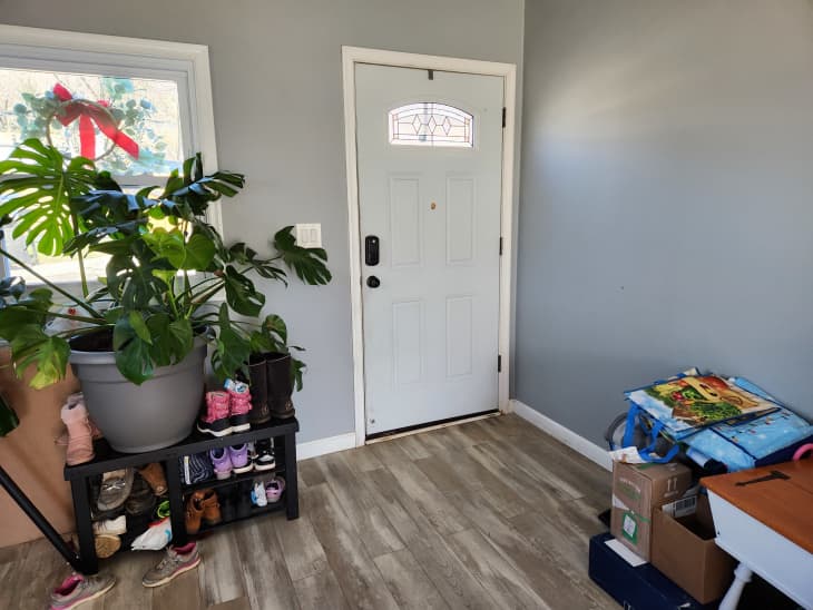 Entryway into home with large plant, shoes, bags and boxes.
