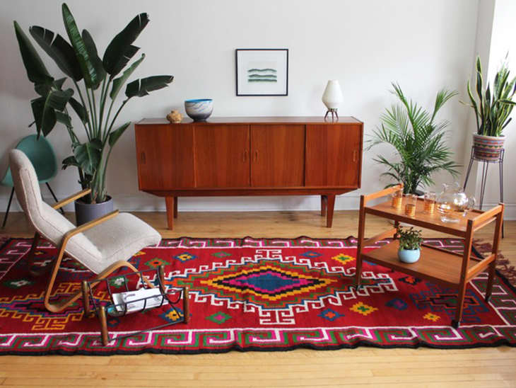 Splurge, Save, Steal Plush and Stylish Vintage Rugs Apartment Therapy